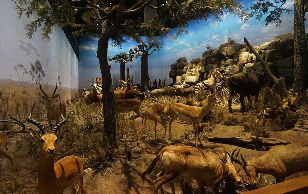 上海自然博物馆新馆上海科技馆分馆竣工图CAD全套图纸含多媒体设计图纸