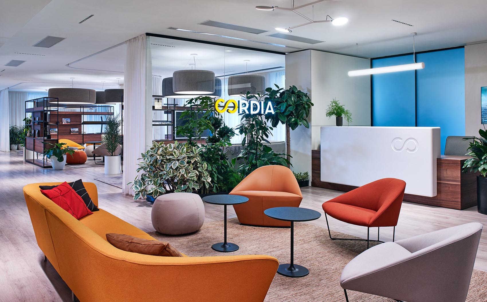 A Look Inside Cordia’s Marketing Office in Budapest
