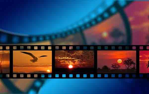 Stock Photography Taking Pictures & Techniques