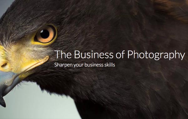 The Business of Photography – Karl Taylor