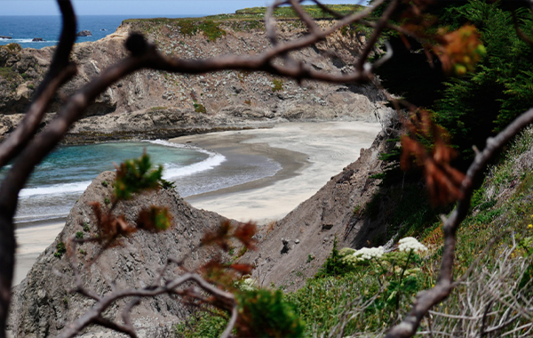 Photography 101 – Lynda