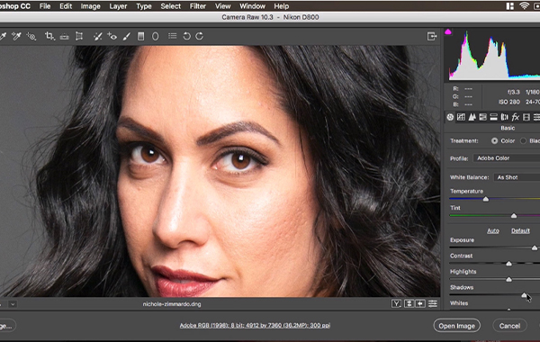 The Retouching Series: Rescue Dark Eyes – The Portrait Masters