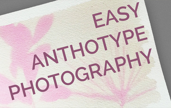 Easy Anthotype – alternative photography made from flowers