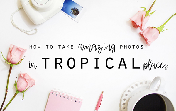 Photography In Tropics 101