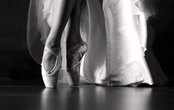 Video Marketing – Sue Bryce Education