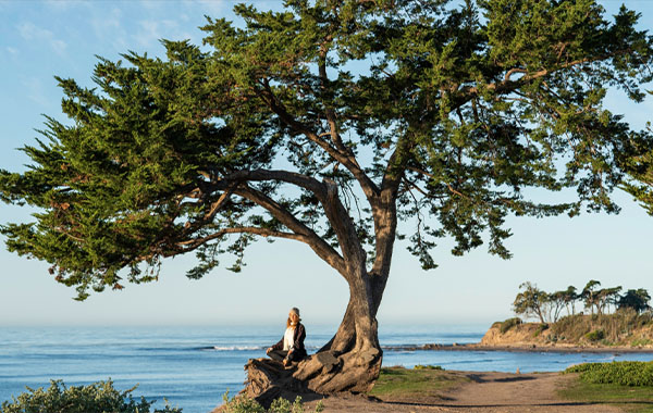 Portrait Project: Landscape Photo Post-Production – Lynda