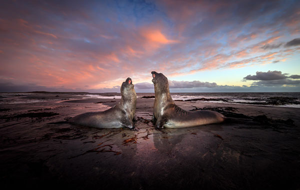 Visual Flow: Mastering the Art of Composition by Ian Plant – 500px…
