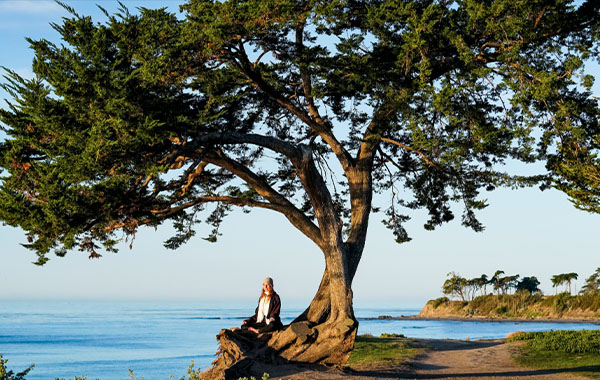 Portrait Projects: Capturing a Portrait Within a Landscape