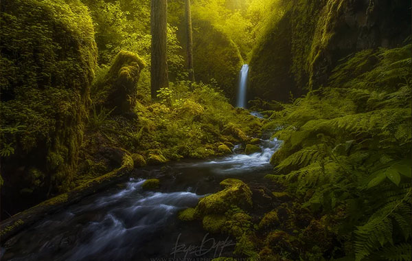 Painting with Light – RYAN DYAR
