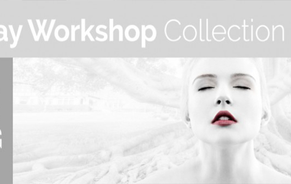 Two Day Workshop Collection – Joel Grimes Workshops