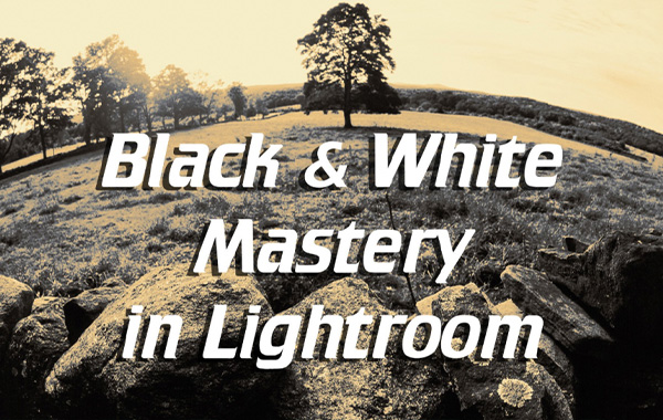 Black and White Mastery in Adobe Lightroom Classic