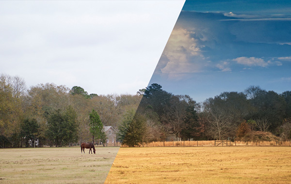 Luminar Essential Training – Lynda