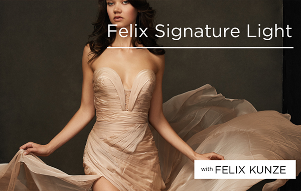 The Lighting Series: Felix Signature Light