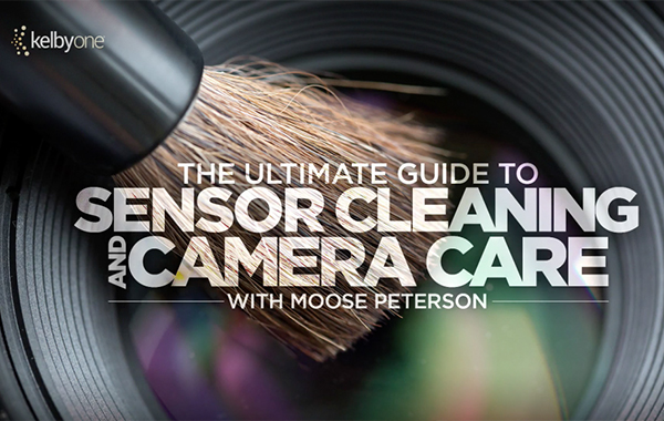 The Ultimate Guide to Sensor Cleaning and Camera Care