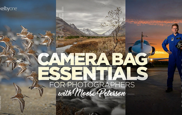 Camera Bag Essentials for Photographers with Moose Peterson