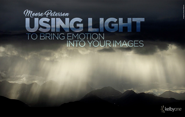 Using Light to Bring Emotion into Your Images with Moose Peterson