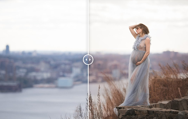 December Curves — Meg Bitton