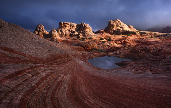 Coral Chaos – Alex Noriega