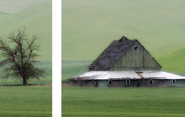 Advanced Photography: Diptychs, Triptychs, and Aspect Ratios – Lynda