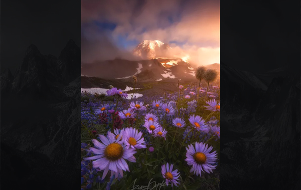Putting together the pieces – RYAN DYAR