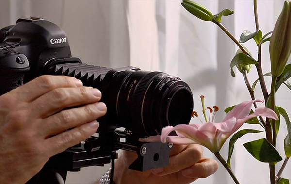 Photography Foundations: Macro and Close-Up (HD)