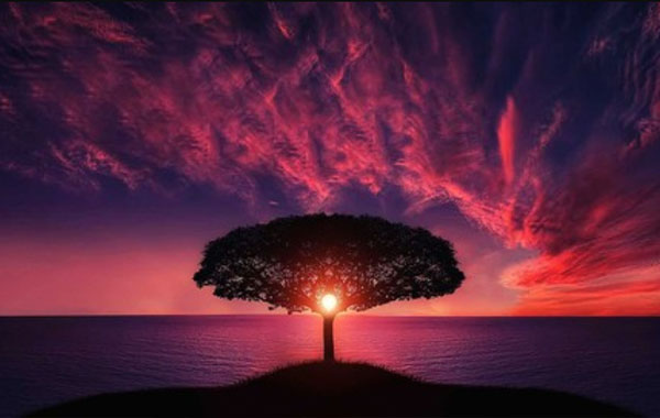 Complete Photography Masterclass: 4 courses in 1