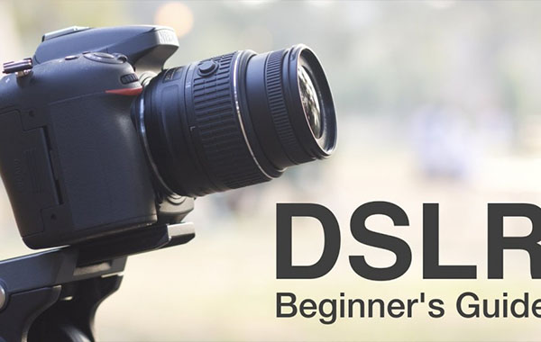 Beginners DSLR Photography: Understanding Your Camera