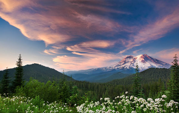 The Art of Nature Photography with Art Wolfe