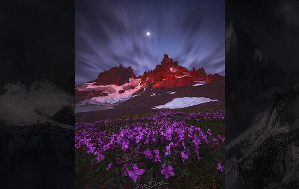 Perspective Blending – RYAN DYAR