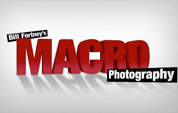 Close-Up: An Introduction to Macro Photography with Bill Fortney