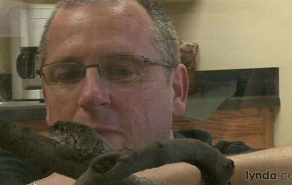 Lighting with Flash: On Location, from Close Up to Portrait