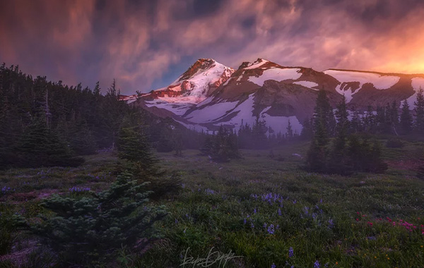 Ten More Pro Tips – RYAN DYAR