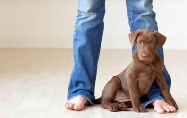 Pets and People Photography by Vicki Taufer