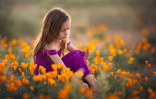 PICKING POPPIES (FULL EDIT) – LJHOLLOWAY PHOTOGRAPHY