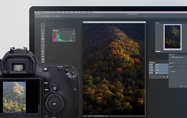 Adobe Photoshop for Photographers: Beyond the Basics by Ben Willmore