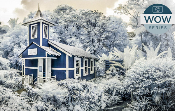 Creative Wow: Infrared Photography by Jack Davis