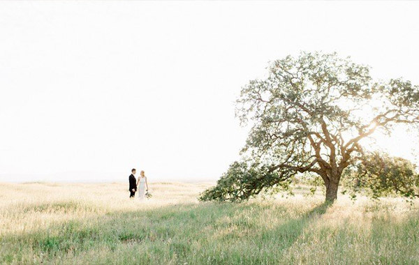 Editing for hybrid film + digital wedding photographers! – Udemy