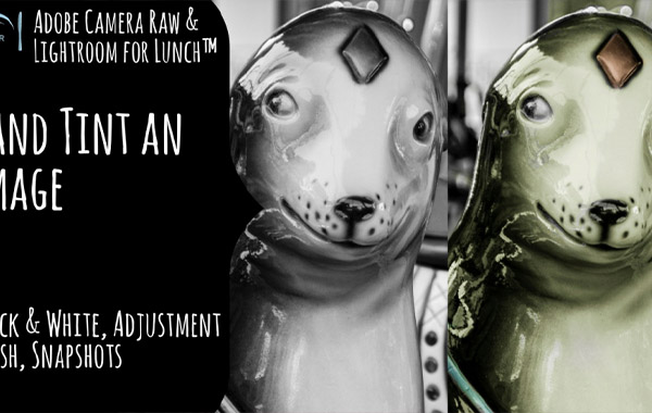 Adobe Camera Raw and Lightroom for Lunch – Hand Tint Image Effect…