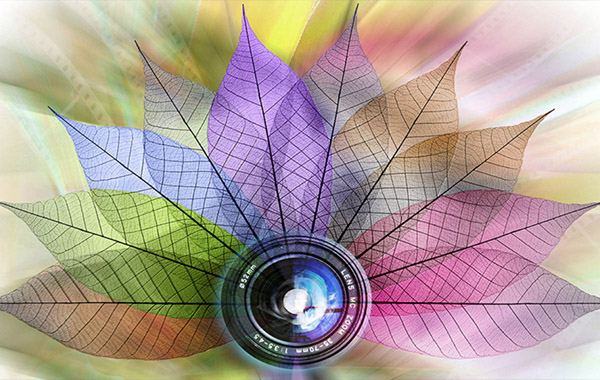 Adobe Photoshop Mastery: Retouching and Collage with Ben Willmore