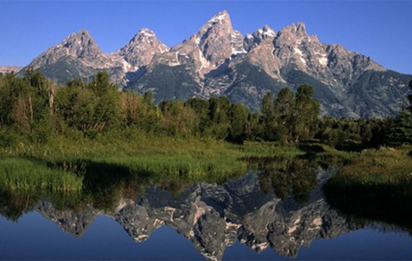 Ultimate Guide to Landscape and Nature Photography