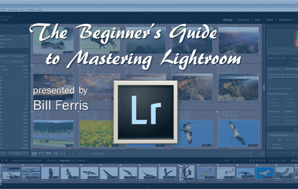 The Beginner’s Guide to Mastering Lightroom with Bill Ferris