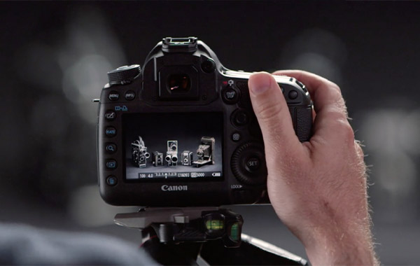 Canon Digital SLR: Tips, Tricks, & Techniques
