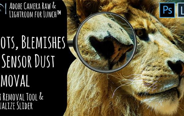 ACR and Lightroom for Lunch™ – Remove Blemishes, Sensor Dust and More…