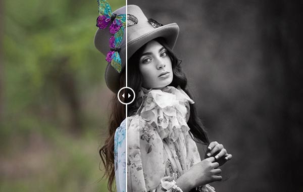 Butterfly Hatter — Meg Bitton