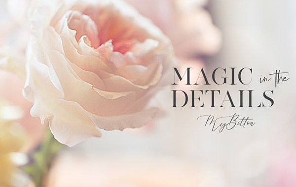 Magic in the Details — Meg Bitton Live