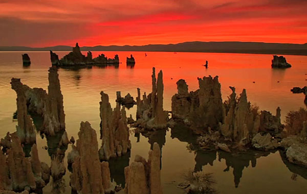 特写摄影历险记-Adventures in Closeup Photography with Rick Sammon