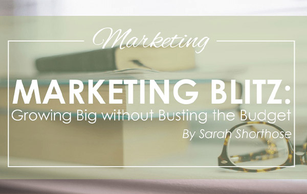 闪电营销战-原有预算下扩张-Marketing Blitz: Growing Big Without Busting the Budget – IPS Mastermind