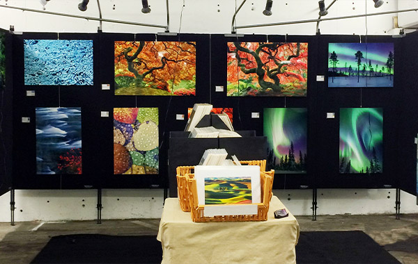 学习在艺术展上出售摄影作品-Lynda-Learning to Sell Photography at Art Shows