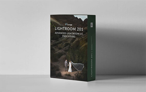 LR进阶教程-高级处理技巧视频教程-Lightroom 201 Advanced Processing – SLR Lounge