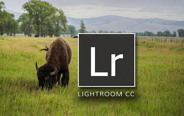 Lightroom CC图像编辑进阶视频教程-Lightroom CC In Depth: Editing Your Photos with Pete Collins